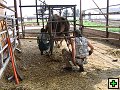 thn_Troubelice 2006 046.jpg